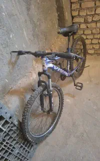 دوچرخه ویوا