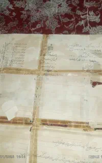 زمین در دامای بندر عباس دارم برای فروش