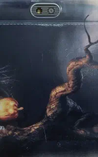 تبلت