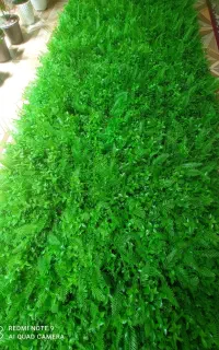 چمن مصنوعی