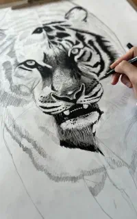 کلاس آموزش نقاشی و طراحی از پایه