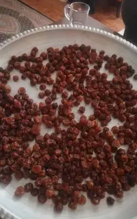 آلبالو خُشک