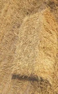 قیمت مناسب کپه 600 هزار