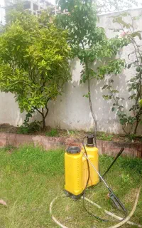 باغبانی وگل کاری