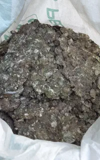 کود کبوتر