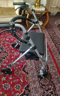ویلچرِ واکری