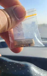 طلای ابشده