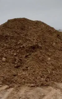 کود گوسفندی