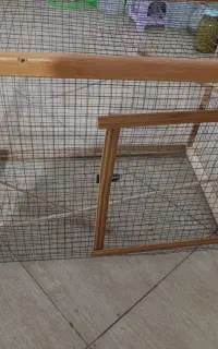 قفس پرنده