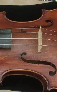 ویولن آماتی پروفشنال