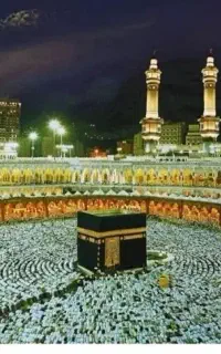 فیش عمره
