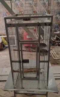 قفس پرنده