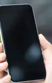 بیکاری تعطیل با گوشیت پول در بیار میلیونی