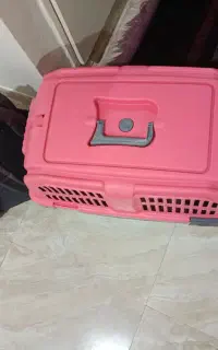 باکس سگ