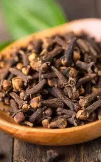 کار در منزل  آموزش طب سنتی