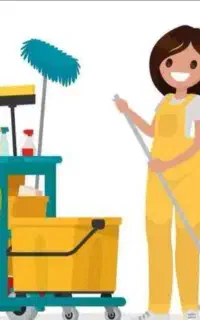 نظافت منازل