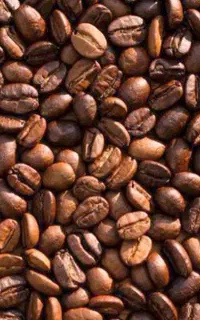 فروش قهوه رست روز ۸۰ ۲۰