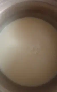 شیر گوسفندی