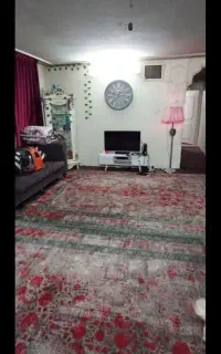 نظافتچی خانوم هستم