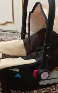 کریر نونو دلیجان