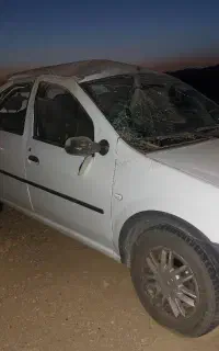 ال نود     چپی بدون رنگ کم کار
