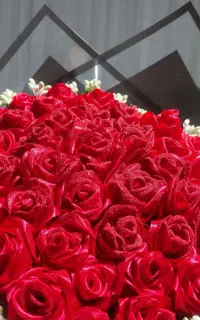 گل زیبا