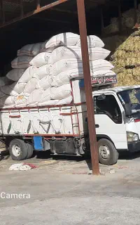 کاه گندم