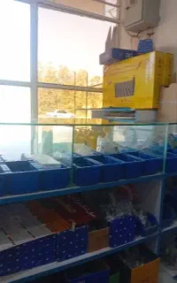به یک صافکارماهرنیازمندیم.بادرصدکار۰۰۰۰۰