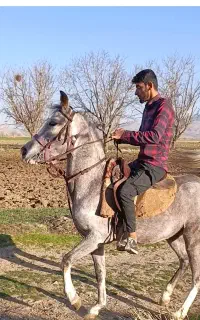 کوری مادیا