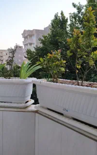 گلدان پلاستیکی بزرگ