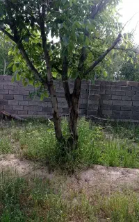 ارائه نیروی کار ساختمانی و تعمیراتی