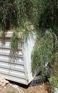 اتاق وانت