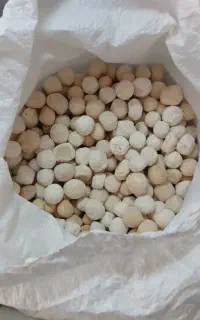 کشت گوسفندی عشایری درجه یک