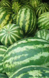 هندوانه