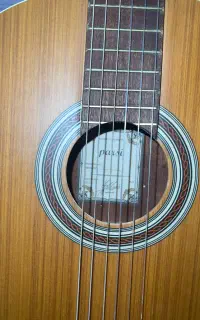 گیتار پارسی M5 کیف و آچار کوک داره
