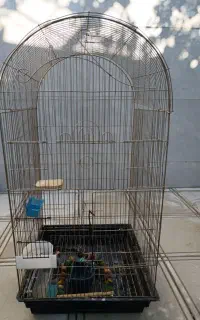 قفس پرنده