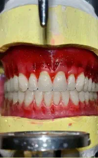 متحرک کار نیازمندیم ب صورت شراکت