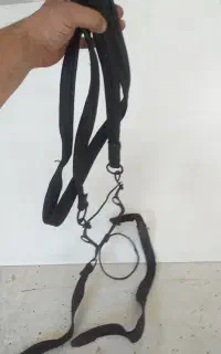 جلو و دهنه اسب چرم قدیمی