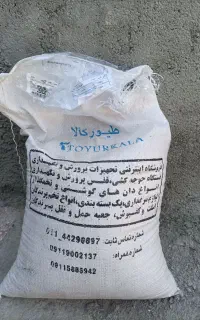 دان استاتر جوجه ها
