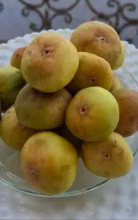 انجیر شیرین وتازه