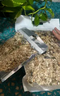 گرانولای خانگی
