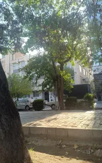 فروش خط ۸۸۸۳۱۱۲۵