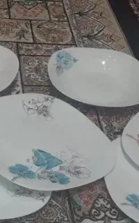 ارکوپال