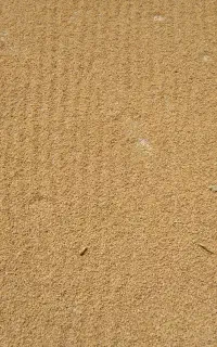بلغور  ارومیه