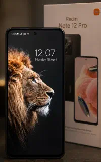 Note 12 pro