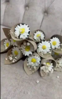 گیفتهای بابونه