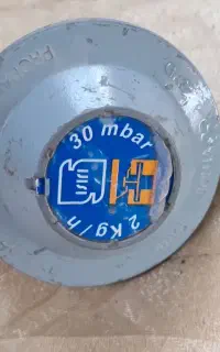 ریگلاتور بوتان