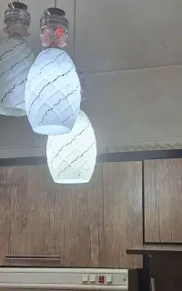 لوسترسه شاخه