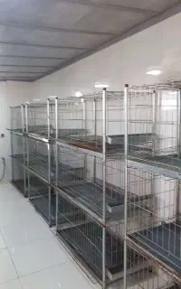 قفس مرغ تخمگذار