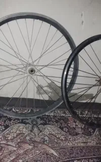 رینگ اسپرت